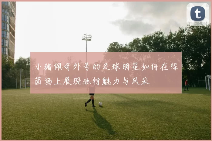 小猪佩奇外号的足球明星如何在绿茵场上展现独特魅力与风采