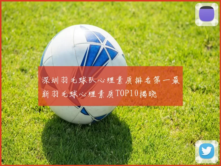 深圳羽毛球队心理素质排名第一最新羽毛球心理素质TOP10揭晓