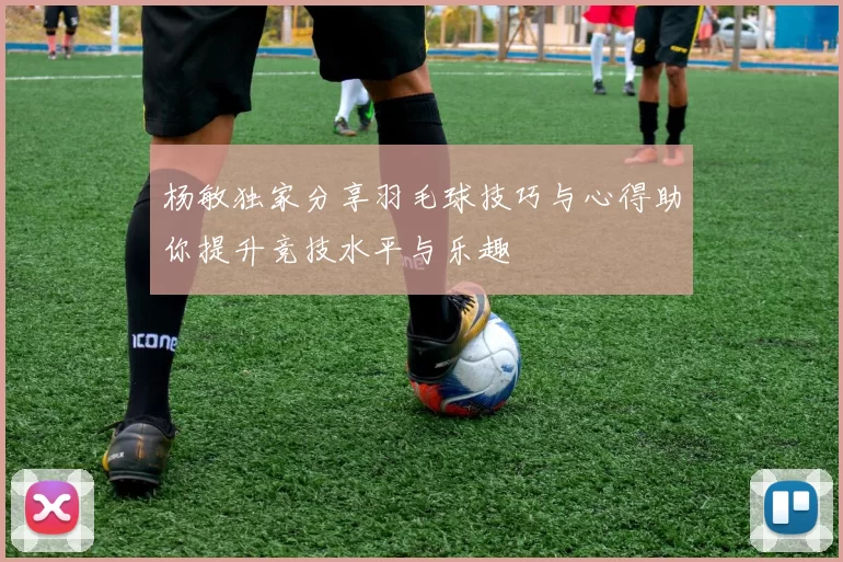 杨敏独家分享羽毛球技巧与心得助你提升竞技水平与乐趣
