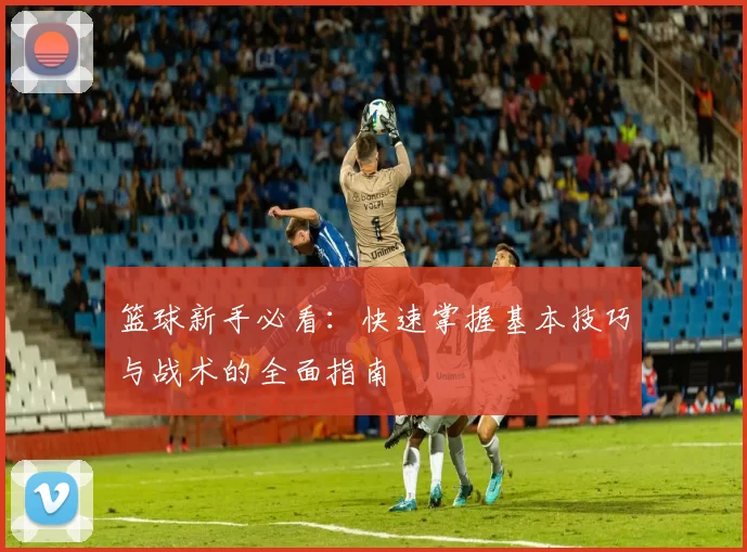 篮球新手必看：快速掌握基本技巧与战术的全面指南