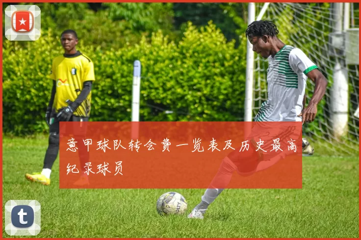 意甲球队转会费一览表及历史最高纪录球员
