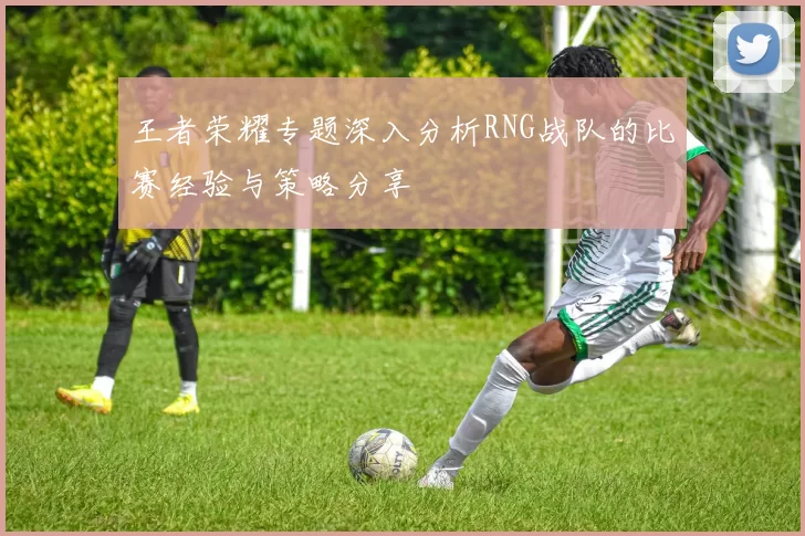 王者荣耀专题深入分析RNG战队的比赛经验与策略分享