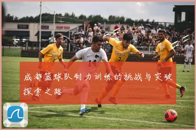 成都篮球队耐力训练的挑战与突破探索之路