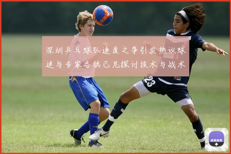 深圳乒乓球队速度之争引发热议球迷与专家各执己见探讨技术与战术