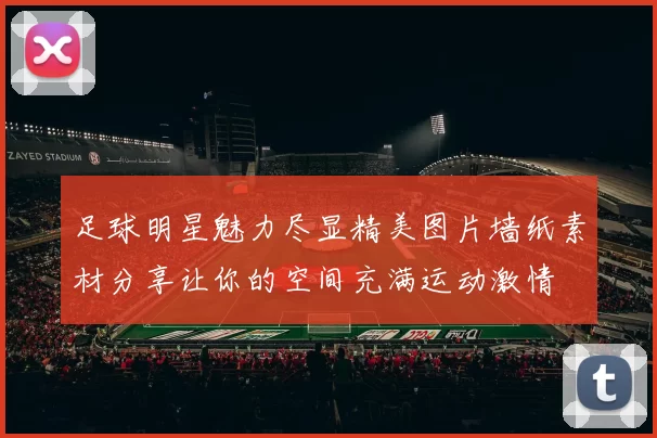 足球明星魅力尽显精美图片墙纸素材分享让你的空间充满运动激情