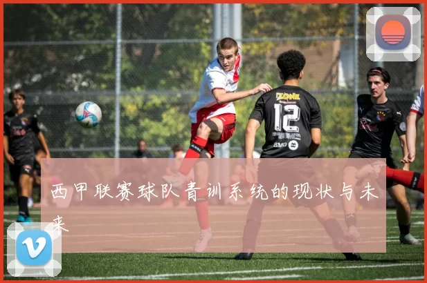 西甲联赛球队青训系统的现状与未来