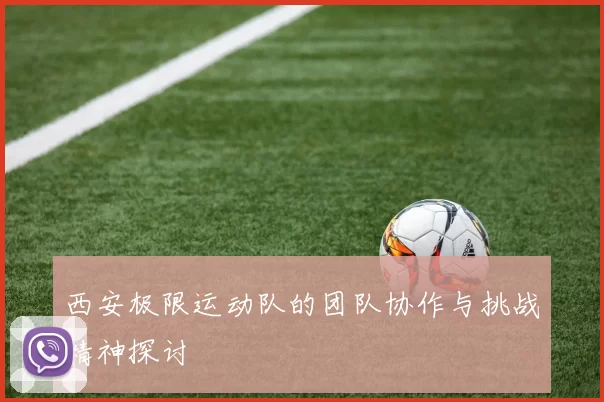 西安极限运动队的团队协作与挑战精神探讨