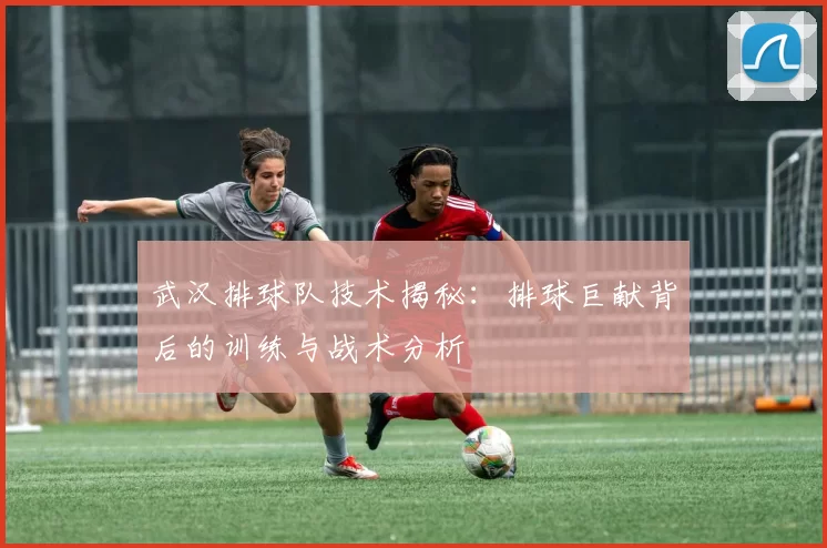 武汉排球队技术揭秘：排球巨献背后的训练与战术分析