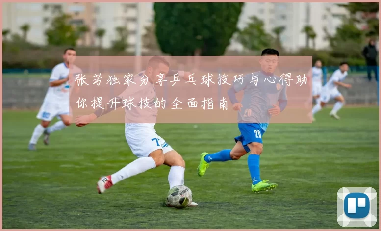 张芳独家分享乒乓球技巧与心得助你提升球技的全面指南