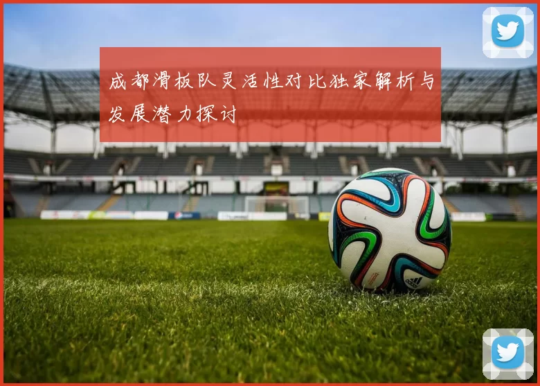 成都滑板队灵活性对比独家解析与发展潜力探讨