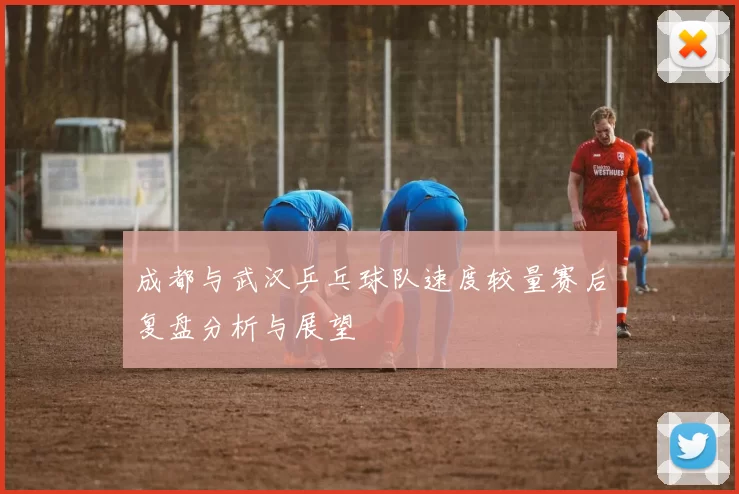 成都与武汉乒乓球队速度较量赛后复盘分析与展望