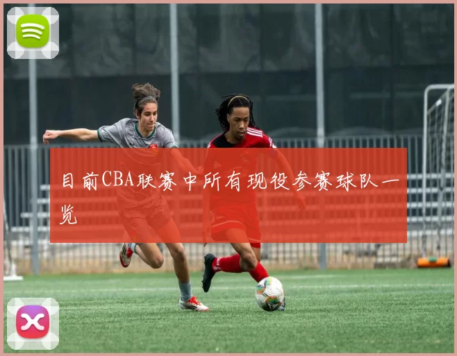 目前CBA联赛中所有现役参赛球队一览