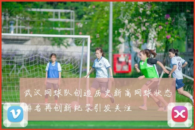 武汉网球队创造历史新高网球状态排名再创新纪录引发关注