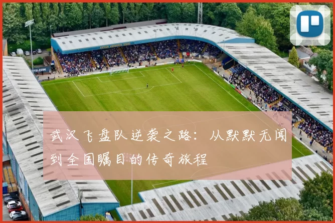 武汉飞盘队逆袭之路：从默默无闻到全国瞩目的传奇旅程