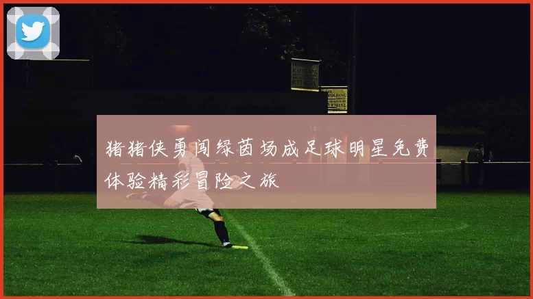 猪猪侠勇闯绿茵场成足球明星免费体验精彩冒险之旅