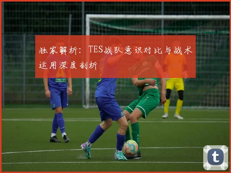 独家解析：TES战队意识对比与战术运用深度剖析