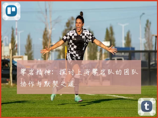 攀岩精神：探讨上海攀岩队的团队协作与默契之道