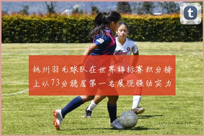 杭州羽毛球队在世界锦标赛积分榜上以73分稳居第一名展现强劲实力