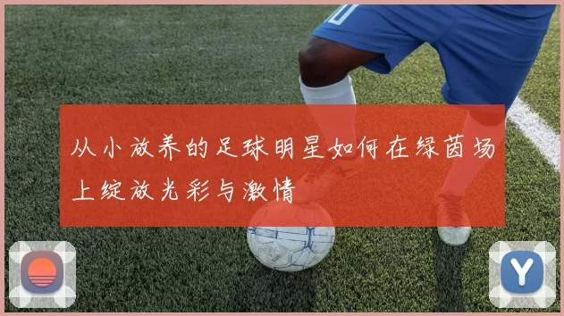 从小放养的足球明星如何在绿茵场上绽放光彩与激情